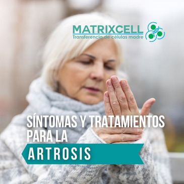 Slider image (5) MatrixCell